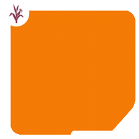 2702 GIF by Brevant Sementes