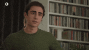 Loslopend Wild Reaction GIF by vrt