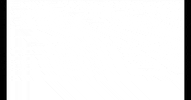 NTHNSRL nathan labbra nthn nathanfrancot GIF
