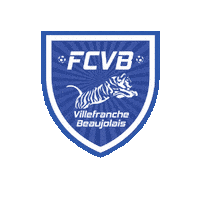 Football Tigres Sticker by FCVB