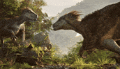 Game Reaction GIF by Xbox