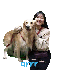 아르르 Sticker by arrr_official
