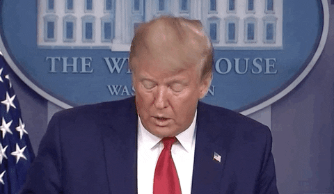 Donald Trump GIF