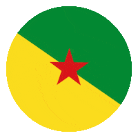 Climate Change Flag Sticker by Conscious Planet - Save Soil