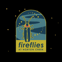 Firefly Fireflies GIF by Discover Life in America