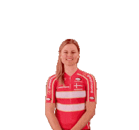 Happy Victory Sticker by Team Danmark
