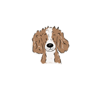 Cavalierkingcharles Sticker by Winkeltjevanbeer