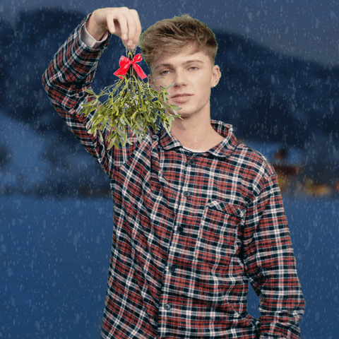 Christmas Smile GIF by HRVY
