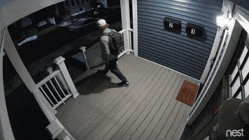 fail over it GIF by Nest