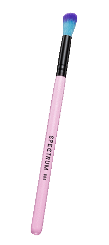 spectrumcollections giphyupload spectrumcollections Sticker