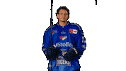 Klein Sticker by Straubing Tigers