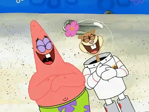 season 3 GIF by SpongeBob SquarePants