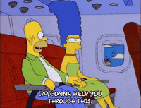 homer simpson GIF