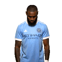 New York City Fc Reaction Sticker by NYCFC