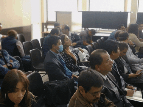 evelyndeleon giphygifmaker covid-19 corrupcion lalinea GIF