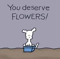 I Love You Flower GIF by Chippy the Dog