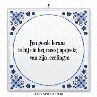 Humor Nl GIF by Tegelspreuken.nl