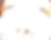 Fr GIF