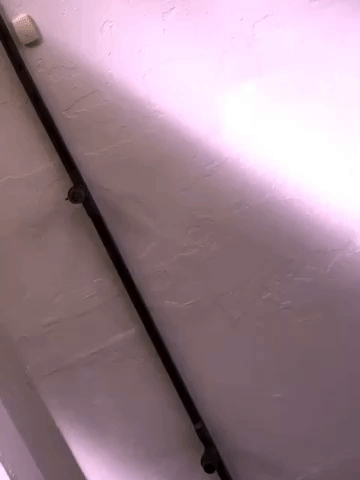 framebeta GIF