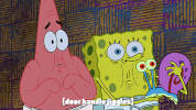 season 9 GIF by SpongeBob SquarePants