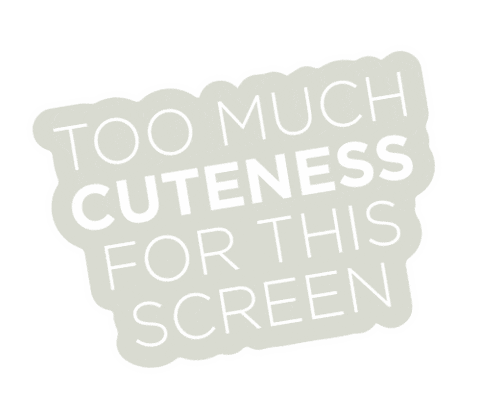 Cuteness Sticker by NINI and LOLI