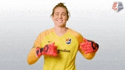 nwsl soccer nwsl new jersey crest GIF