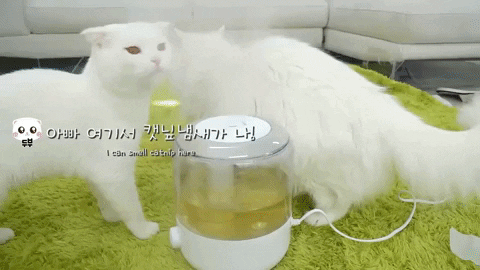 jermbly giphygifmaker GIF