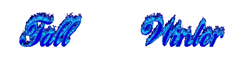 secondhandstudio giphyupload fire winter fall Sticker