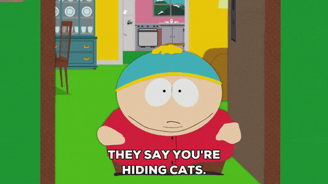eric cartman wtf GIF by South Park 