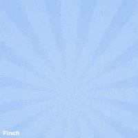 Happy Penguin GIF by Finch Care