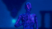 Sub Pop Animation GIF by Sub Pop Records