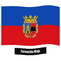 Castilla-La Mancha Bandera Sticker by Formación Ninja