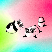 China Fox GIF
