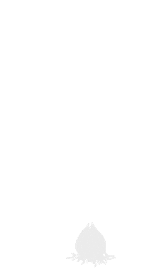 Flowers Grow Sticker by Fam Flower Farm