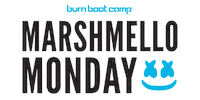 Dj Marshmello Sticker by Burn Boot Camp