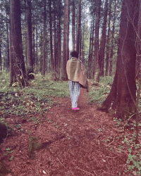 Walk Forest GIF