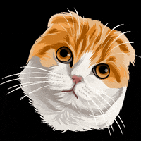 izzyandotis waffles izzyandotis GIF