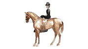 Horses Ea Sticker by equestriess
