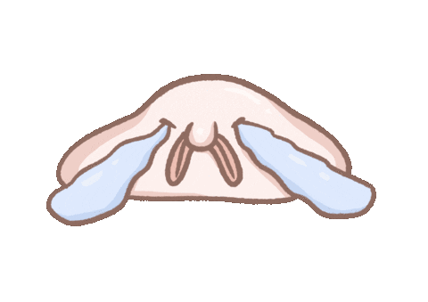 Sad Cry Sticker