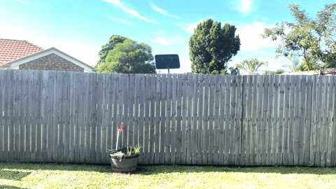 Surprised Eyebrow Raise GIF