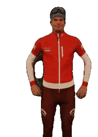 Werner Sticker by SkiMo Stats