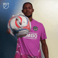 Andre Blake Ball GIF by Major League Soccer