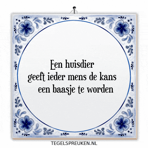 Band Humor GIF by Tegelspreuken.nl