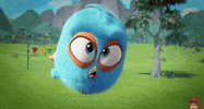 fire win GIF by Angry Birds