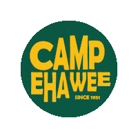 Girl Scouts Camp Sticker by GSBadgerland