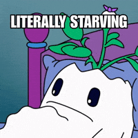 Hungry Feed Me GIF by Magic Eden