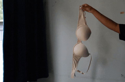 nevernevergyphy giphygifmaker GIF