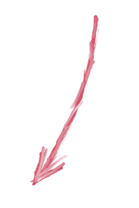 cocomano arrow polskie popolsku strzalka Sticker