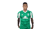 Davie Selke Goal Sticker by SV Werder Bremen