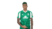 Davie Selke Goal Sticker by SV Werder Bremen